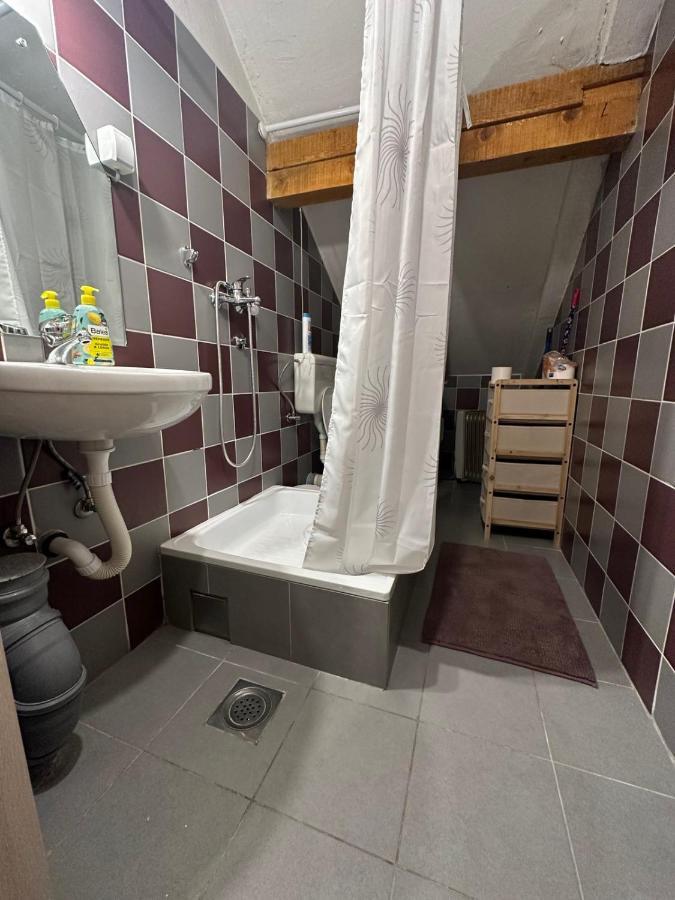 Sofi Apartment Nis Bagian luar foto