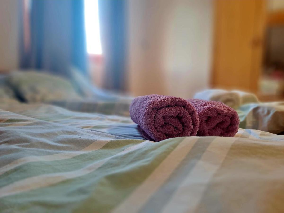 Sofi Apartment Nis Bagian luar foto