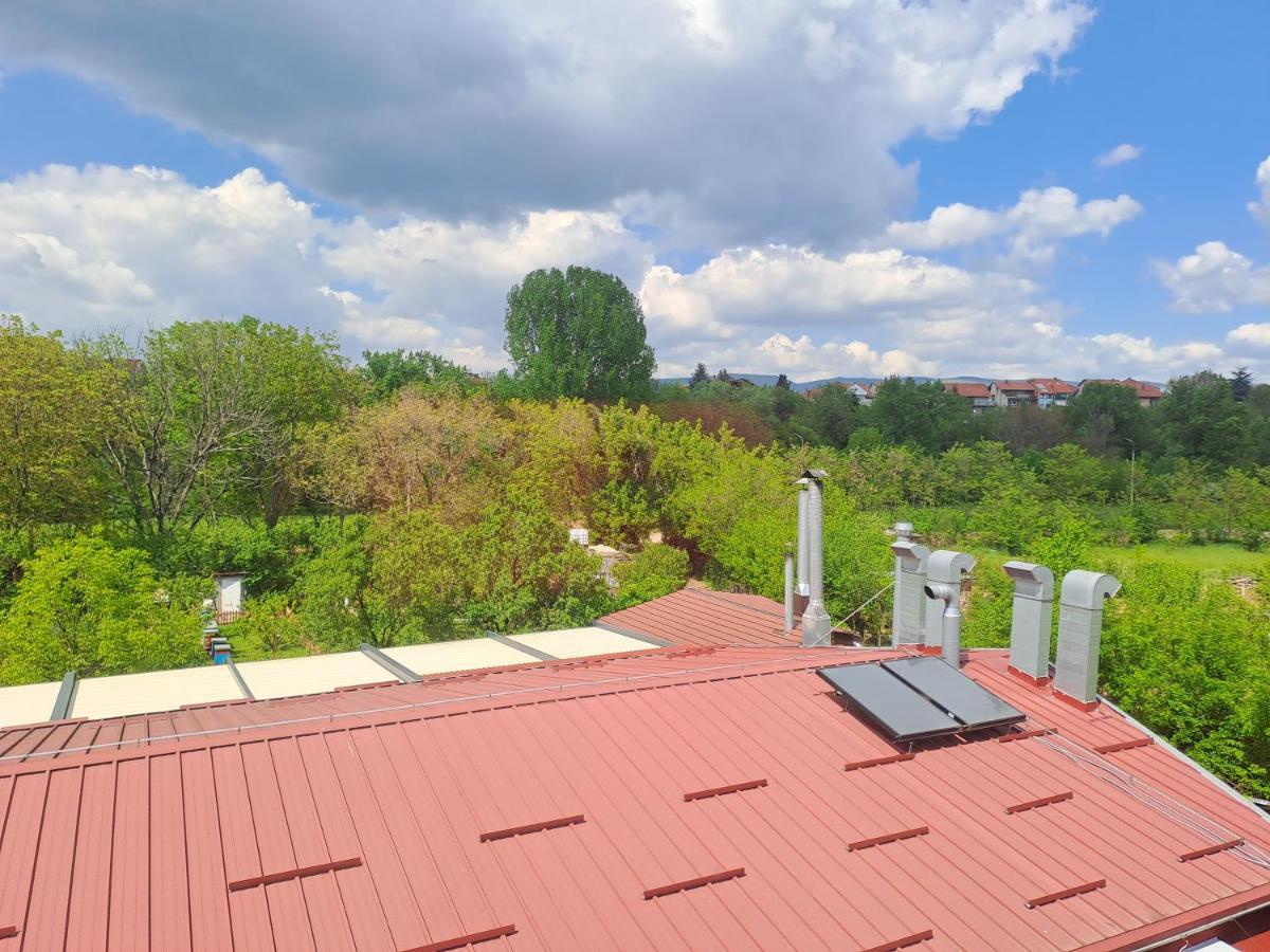 Sofi Apartment Nis Bagian luar foto