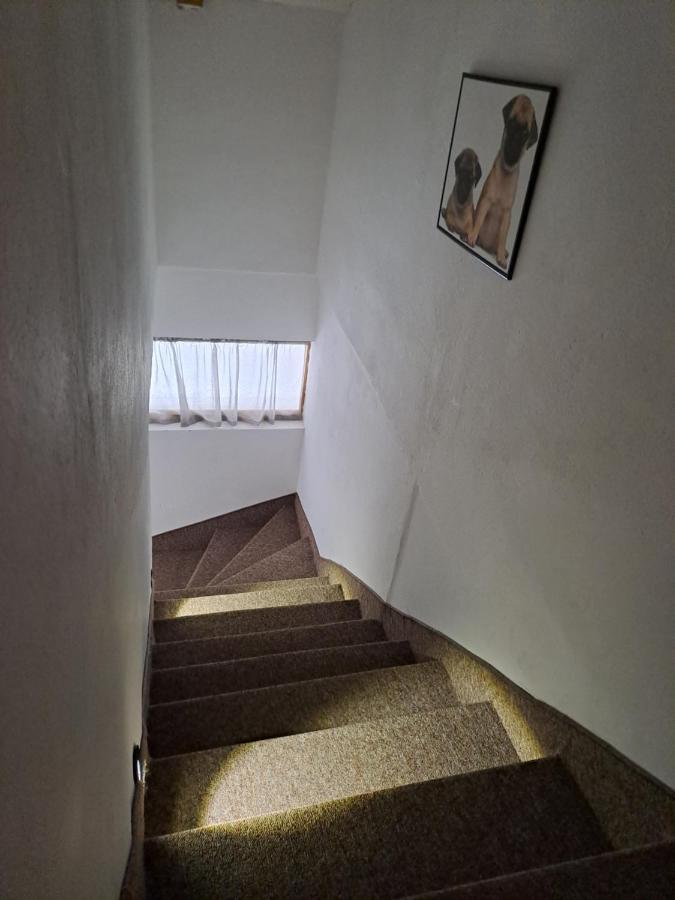 Sofi Apartment Nis Bagian luar foto
