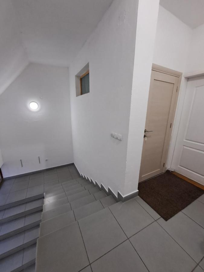 Sofi Apartment Nis Bagian luar foto