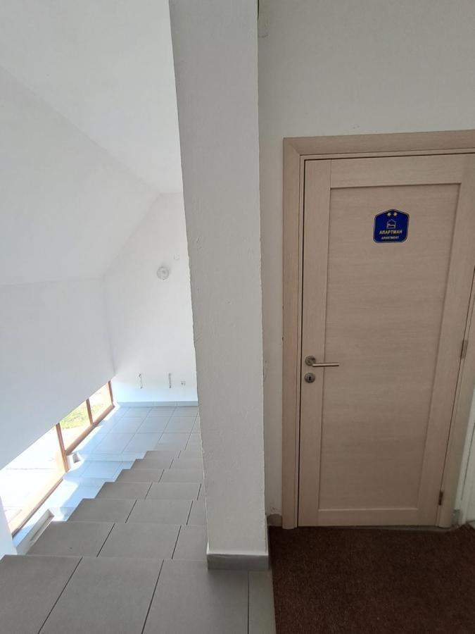 Sofi Apartment Nis Bagian luar foto