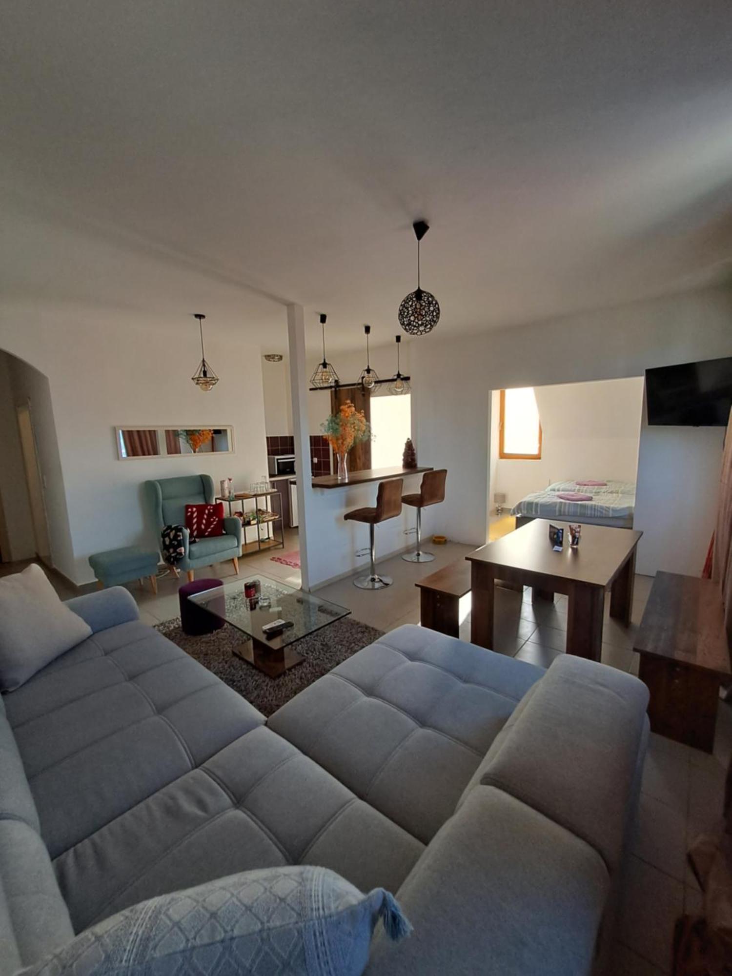 Sofi Apartment Nis Bagian luar foto